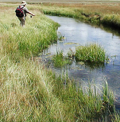 GU&Iacute;AS DE PESCA R&Iacute;O NOGUERA